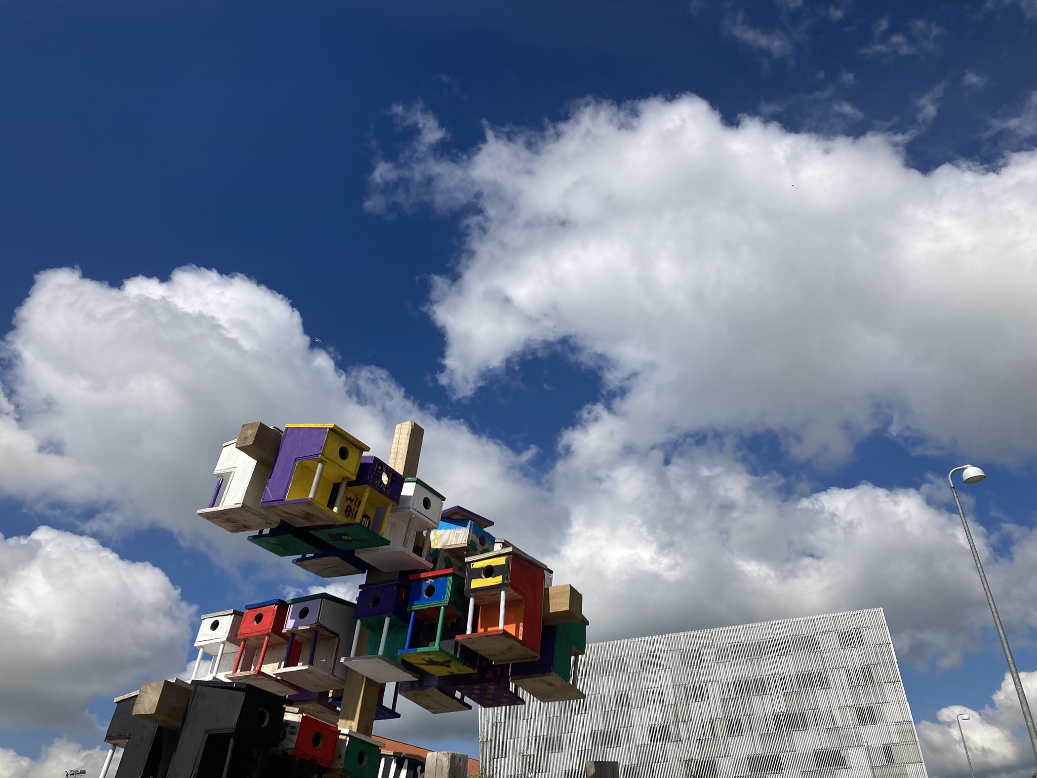 Billedet er taget af Lærke Cecilie Bjerre